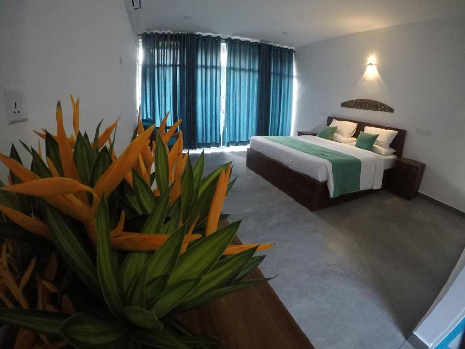 N 34 Hotel Mirissa Kültér fotó